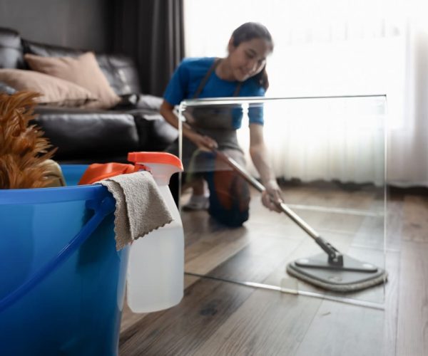 young-woman-in-an-apron-wiping-laminate-flooring-i-2024-11-27-16-50-25-utc